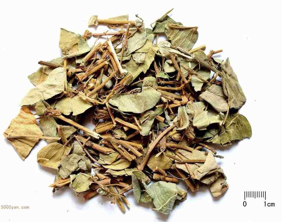 广金钱草 广金钱草