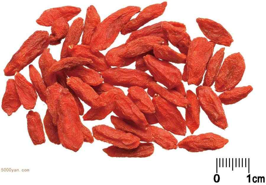 枸杞子 枸杞子