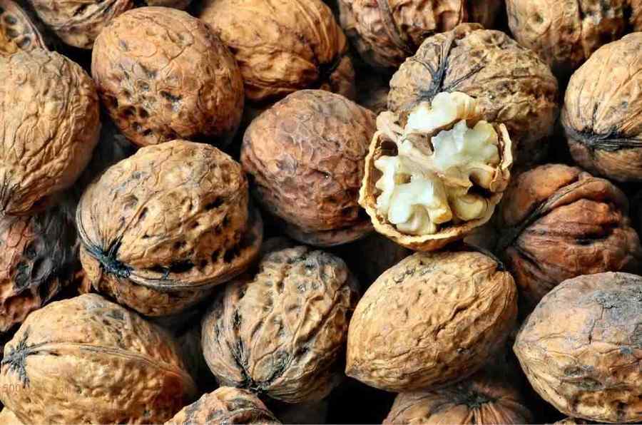 核桃仁 核桃仁