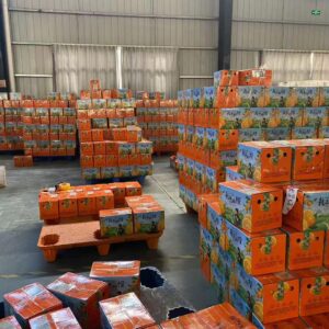 微信图片_20251226142808_62_2