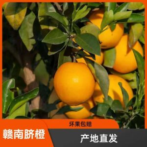 赣南脐橙-果径70-75(mm)